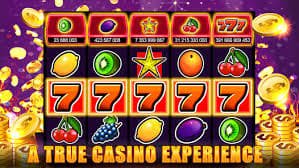 71 game bet 71 game bet